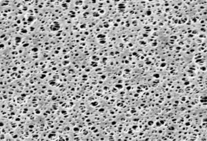 Polyethersulfone Membrane Filters 0.2um 293mm Cat # 15407-293---MIG Sartorious