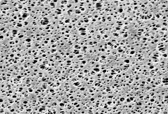 Polyethersulfone Membrane Filters 0.2um 293mm Cat # 15407-293---MIG Sartorious